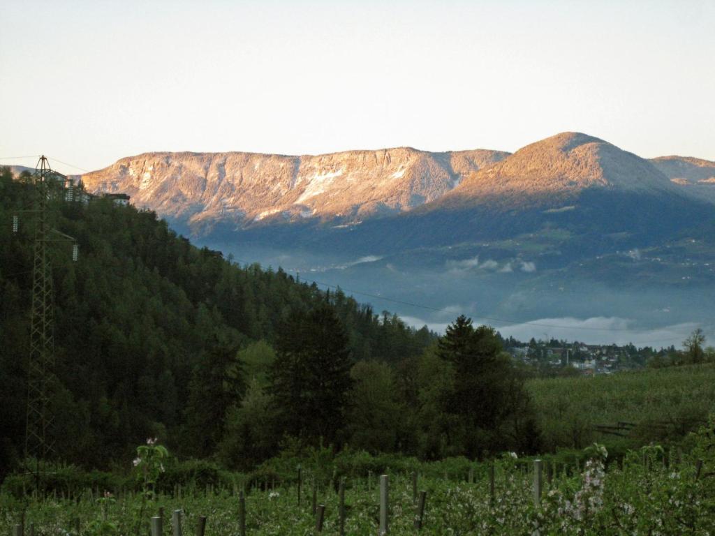 Pension Thalerhof Rifiano Exterior foto
