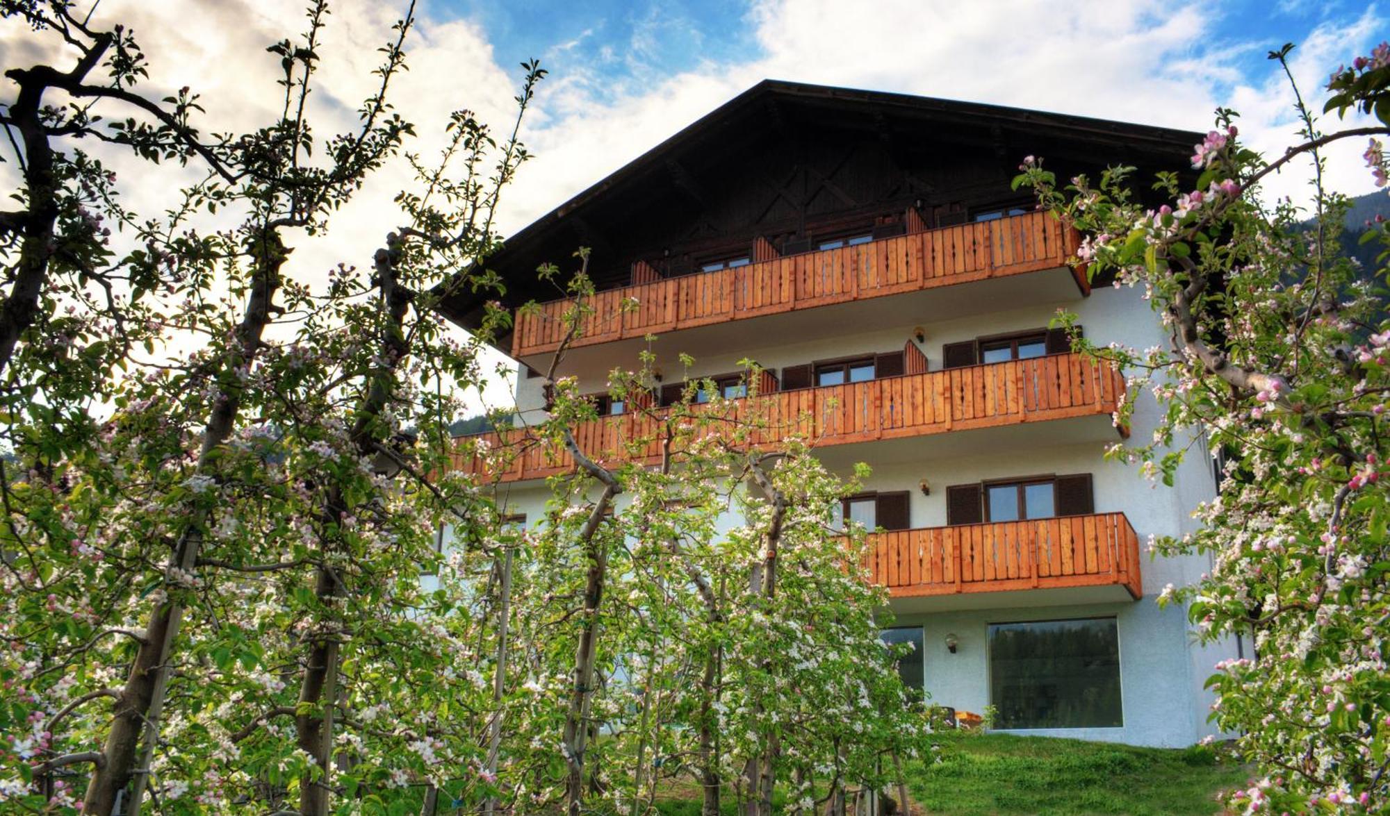 Pension Thalerhof Rifiano Exterior foto