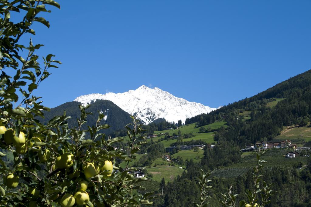 Pension Thalerhof Rifiano Exterior foto